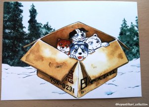 Donation Postcard