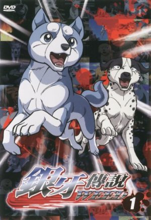 DVD (Chinese 2007)