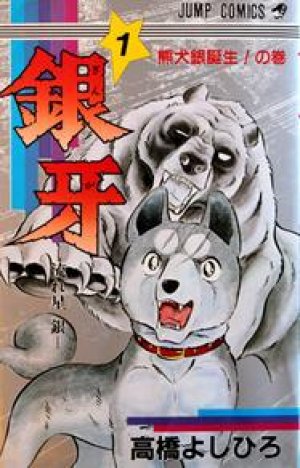 1st Edition