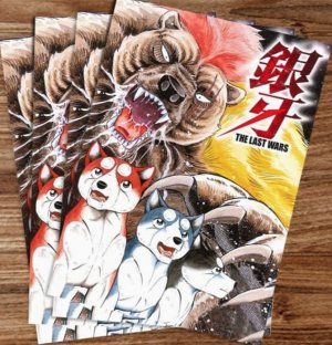 Star Brothers Postcard