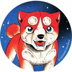 Orion Magnet