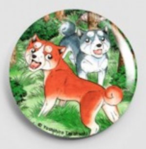 Orion & Sirius Badge