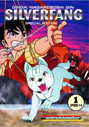 DVD (Swedish 2005)