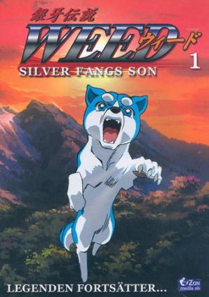 DVD (Swedish 2007)