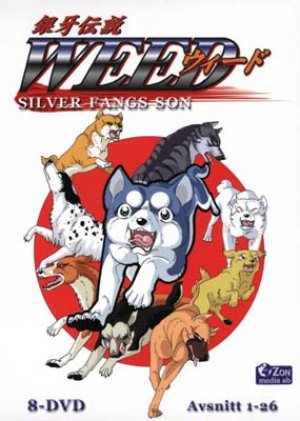 DVD Box Set (Swedish 2007)